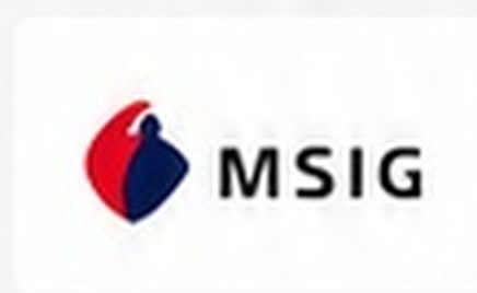 MSIG
